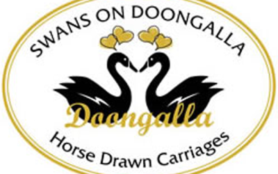 Swans on Doongalla