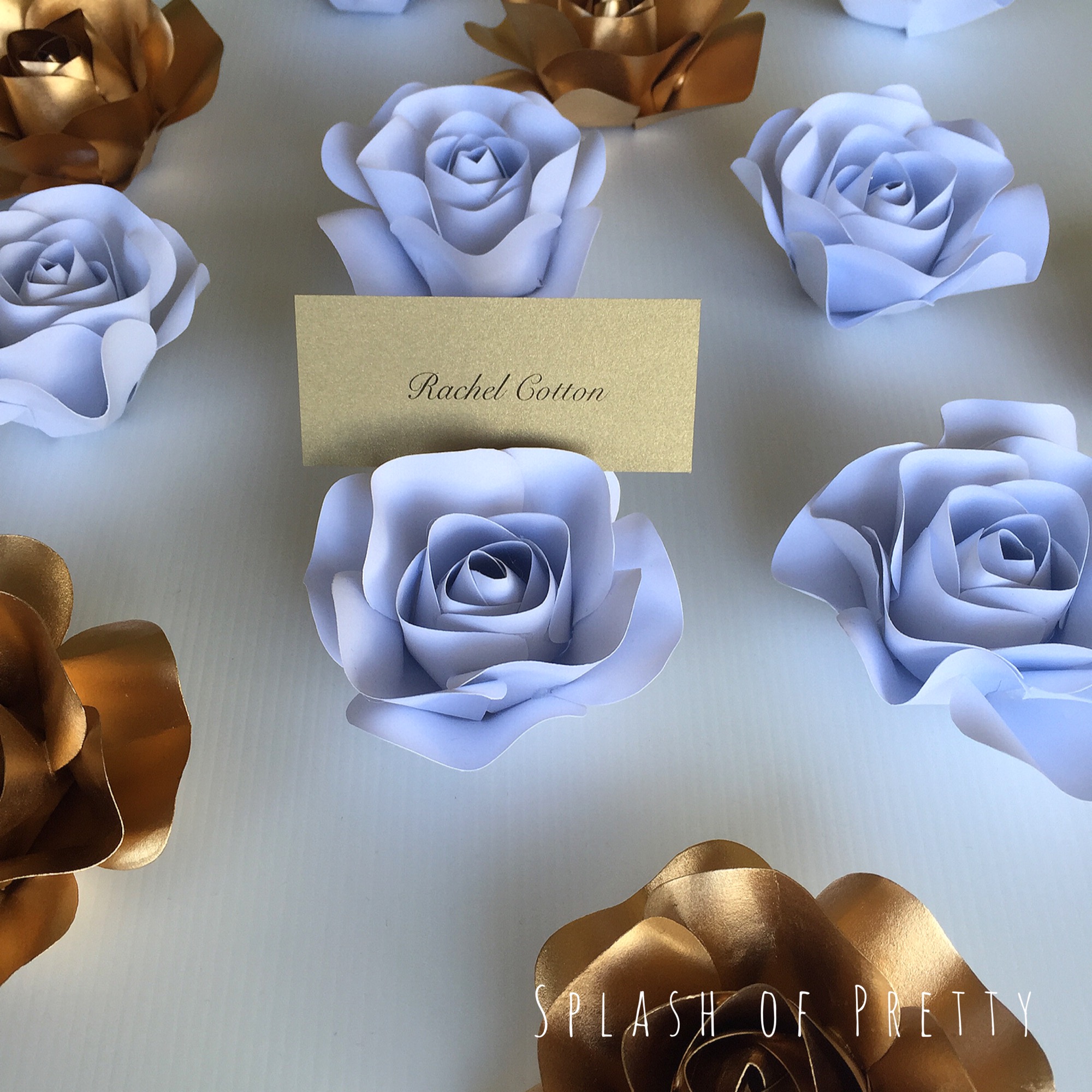 Photo 26-08-2016, 5 00 42 PM