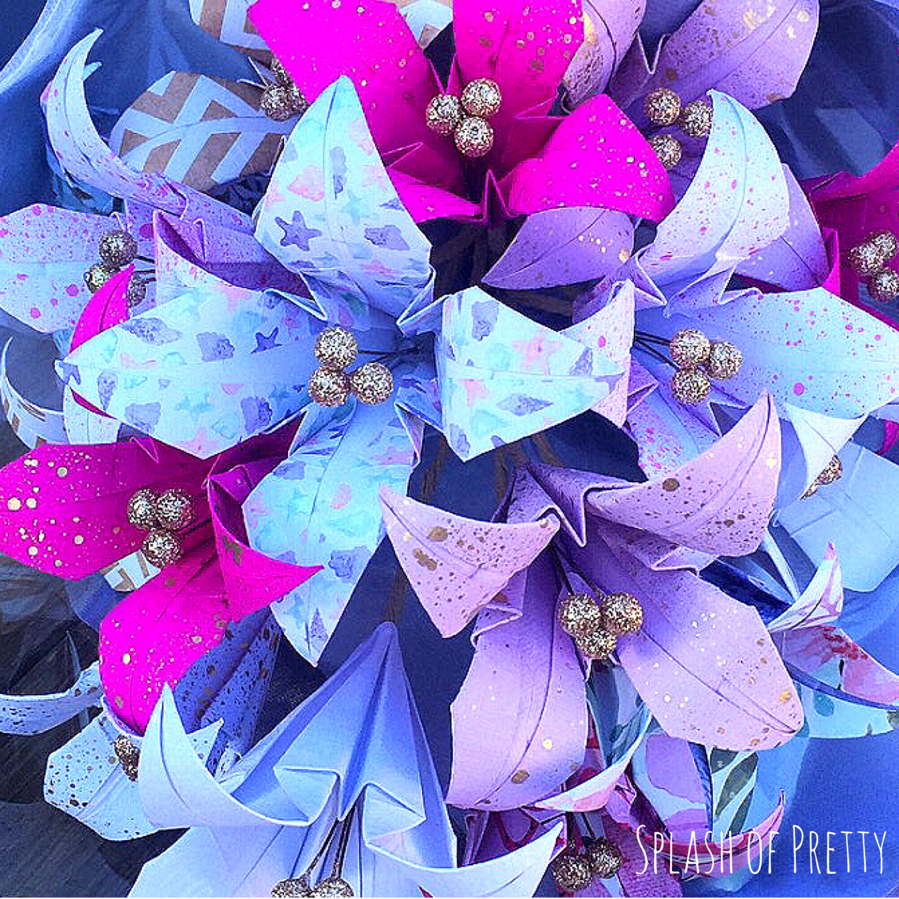 Photo 3-07-2016, 6 52 45 AM