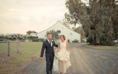 Tree Photo & Video Studio