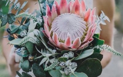 Dandelion Floral Design