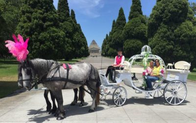 Live Horse and Carriage On Site – Unique Carriage Hire