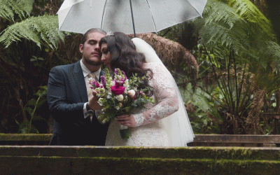 Honeycomb Productions