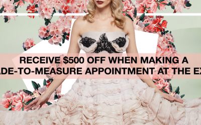 Vivienna Lorikeet Special Offer