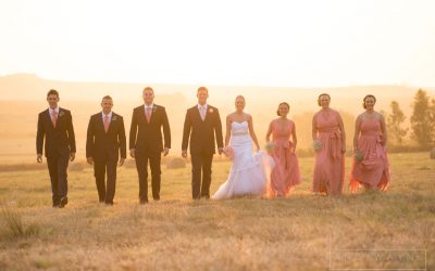 Andy Wayne Photography