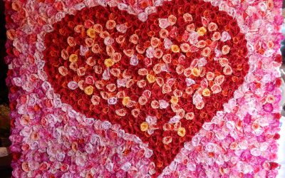 Dream Weddings & Events