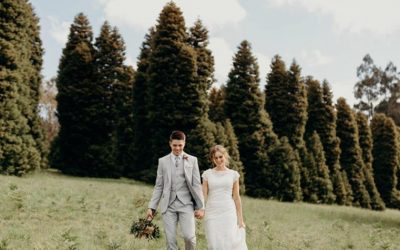 Rockmotion Project Photo and Video