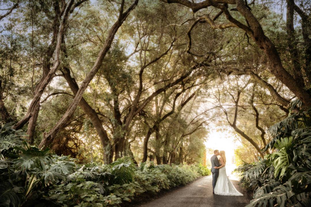 Ella_Otranto_Photography Woods