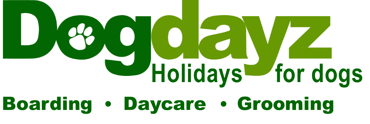 Dogdayz Logo
