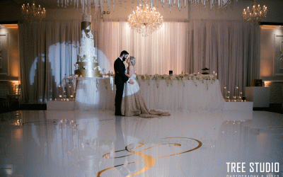 Tree Studio Photography & Video