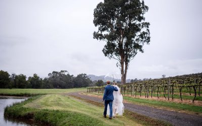 Mark Avellino Photography