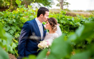 Fox and Luna Photography