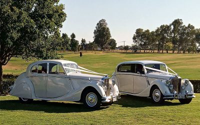 Limousines and Classics