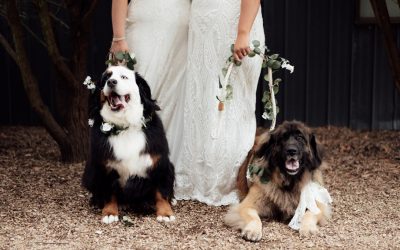 Hey Babe Photography