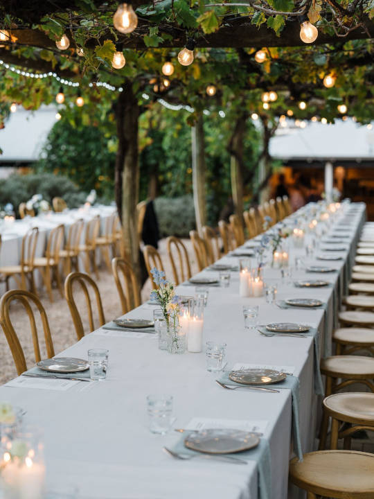 Image Courtesy of Peggy Saas