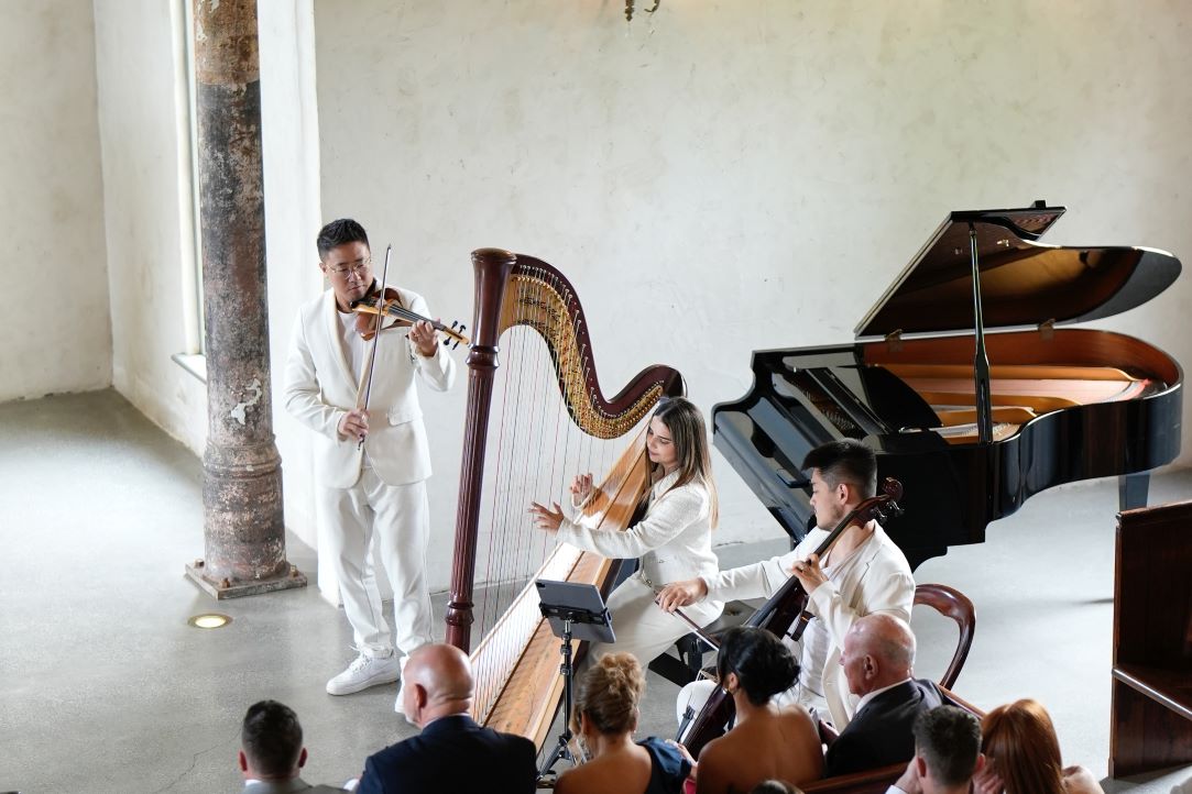 Darioviolin & Double Show Entertainment 