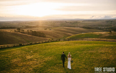 Tree Studio Photography & Videography