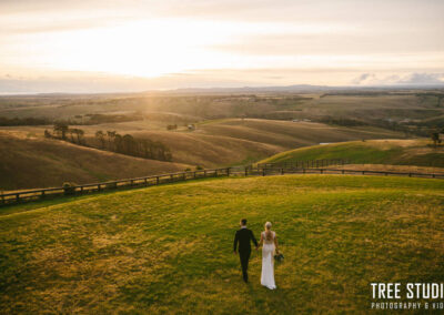 Tree Studio Photography & Videography