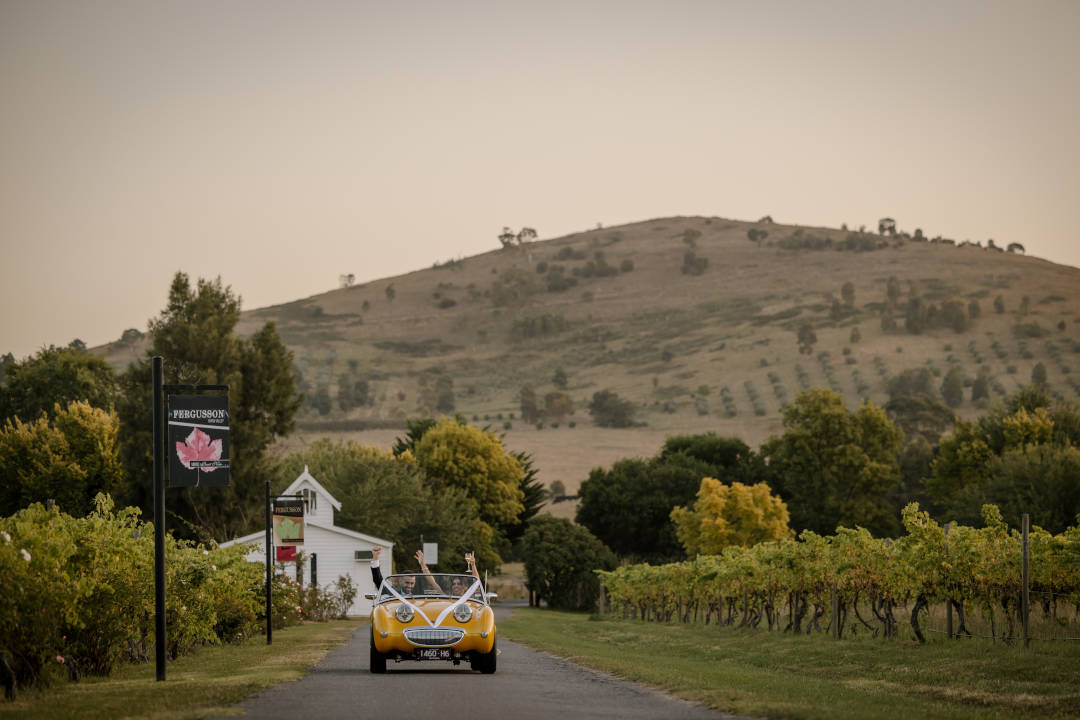 Fergusson Restaurant & Winery