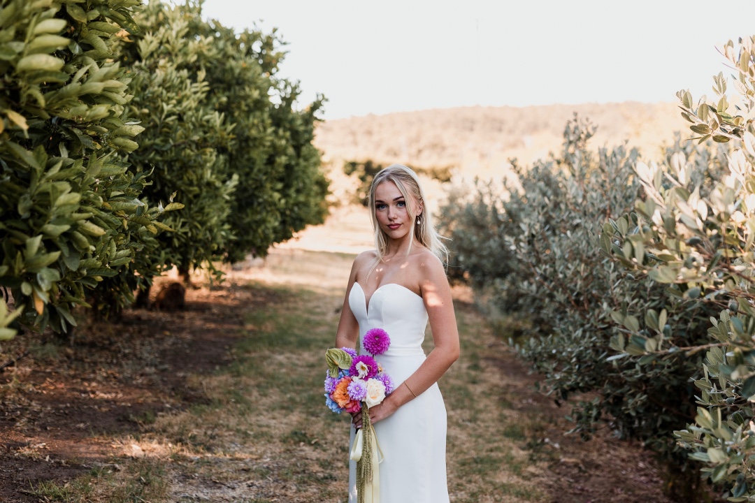 Chesney's Bridal Chesney's Bridal