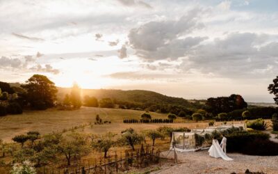 Tamara Little Photography