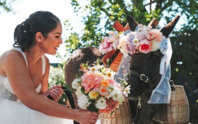 Farmyard Wedding Waiters