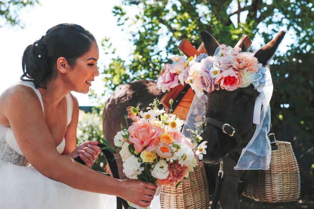 Farmyard Wedding Waiters - donkey Stack of Art - Group Workshop